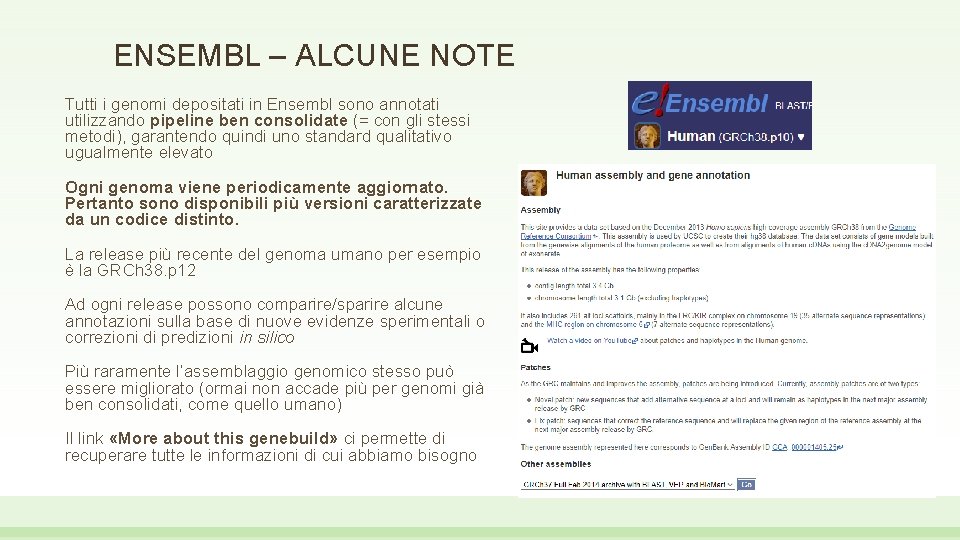 ENSEMBL – ALCUNE NOTE Tutti i genomi depositati in Ensembl sono annotati utilizzando pipeline