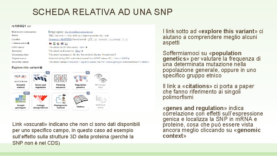 SCHEDA RELATIVA AD UNA SNP I link sotto ad «explore this variant» ci aiutano