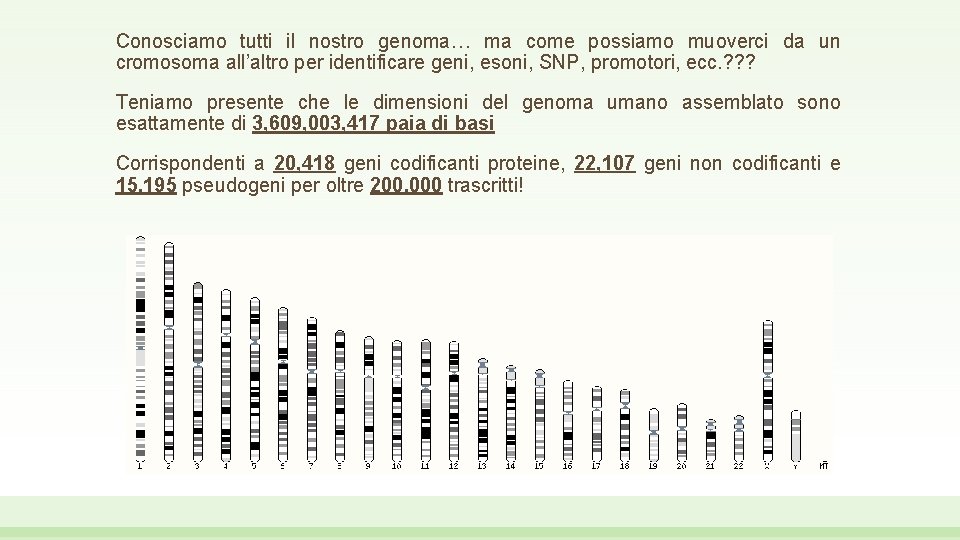 Conosciamo tutti il nostro genoma… ma come possiamo muoverci da un cromosoma all’altro per