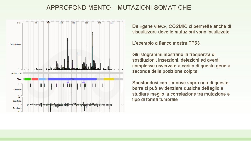 APPROFONDIMENTO – MUTAZIONI SOMATICHE Da «gene view» , COSMIC ci permette anche di visualizzare