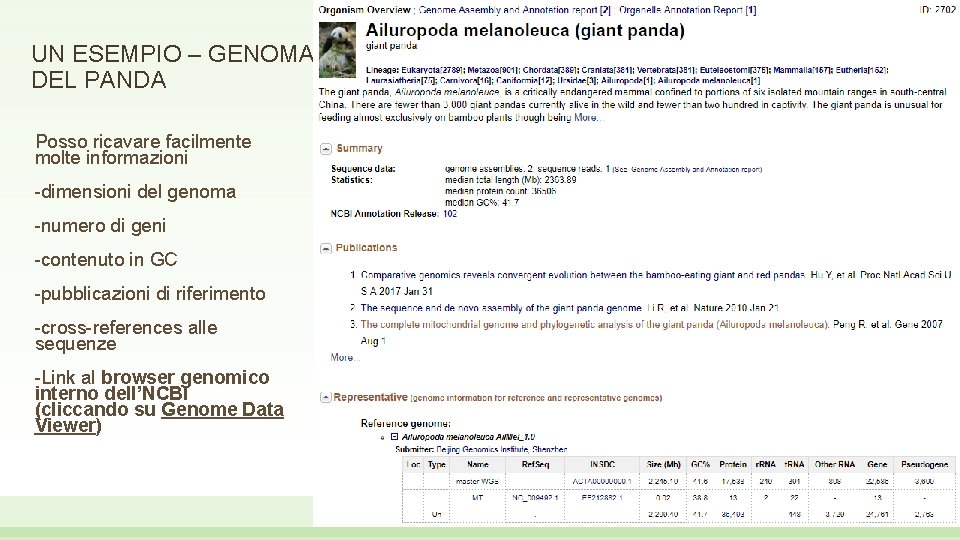 UN ESEMPIO – GENOMA DEL PANDA Posso ricavare facilmente molte informazioni -dimensioni del genoma