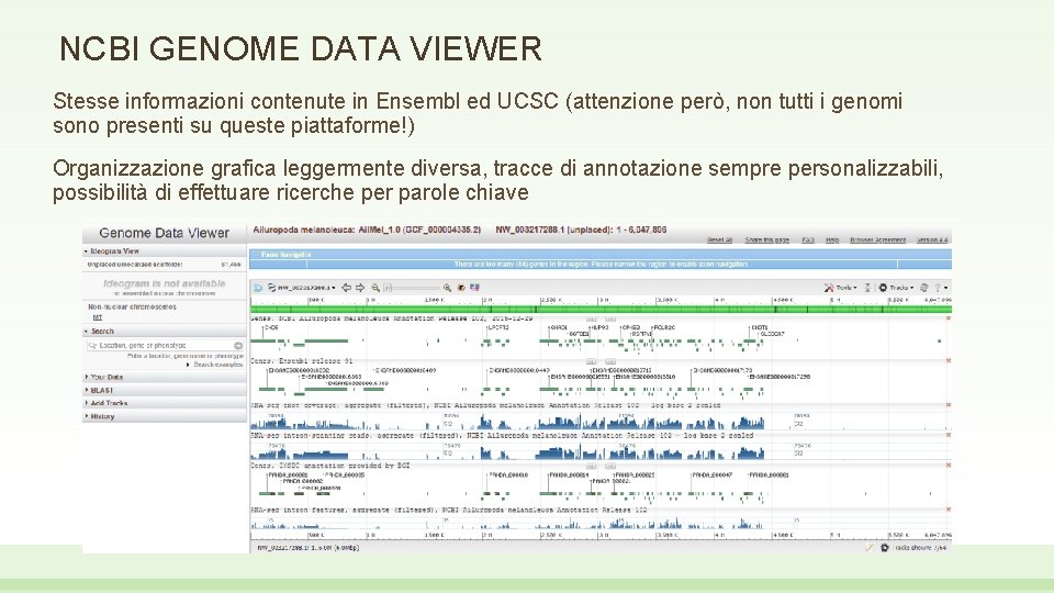 NCBI GENOME DATA VIEWER Stesse informazioni contenute in Ensembl ed UCSC (attenzione però, non