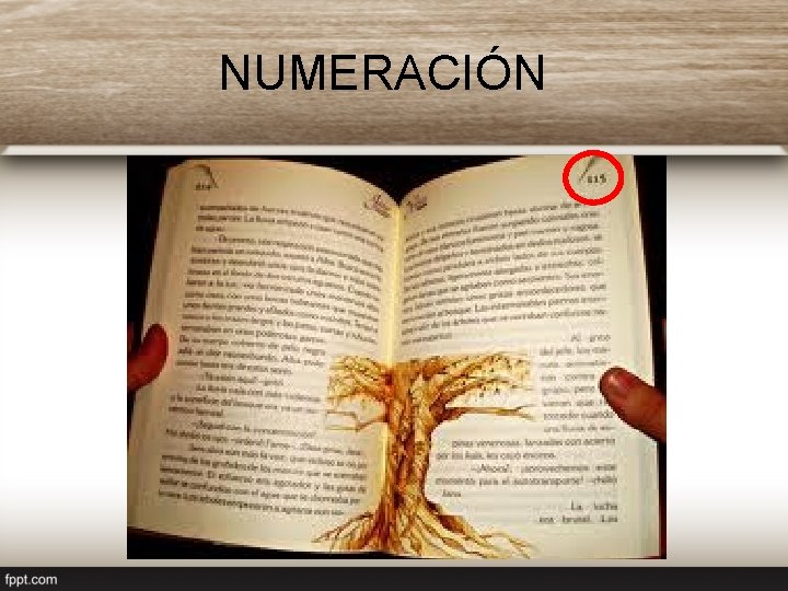 NUMERACIÓN 