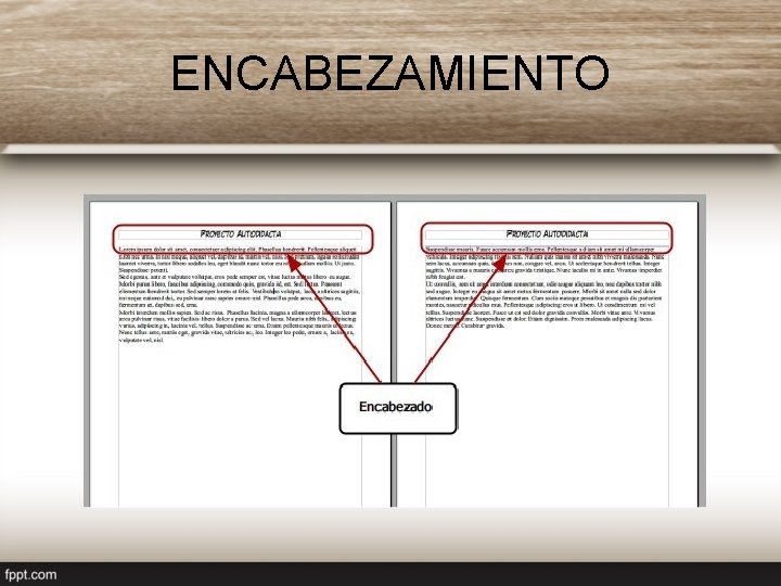 ENCABEZAMIENTO 