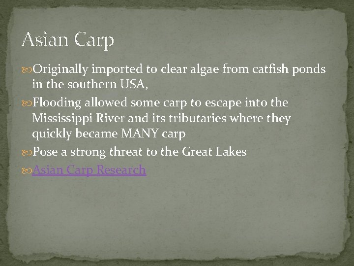 Asian Carp Originally imported to clear algae from catfish ponds in the southern USA,