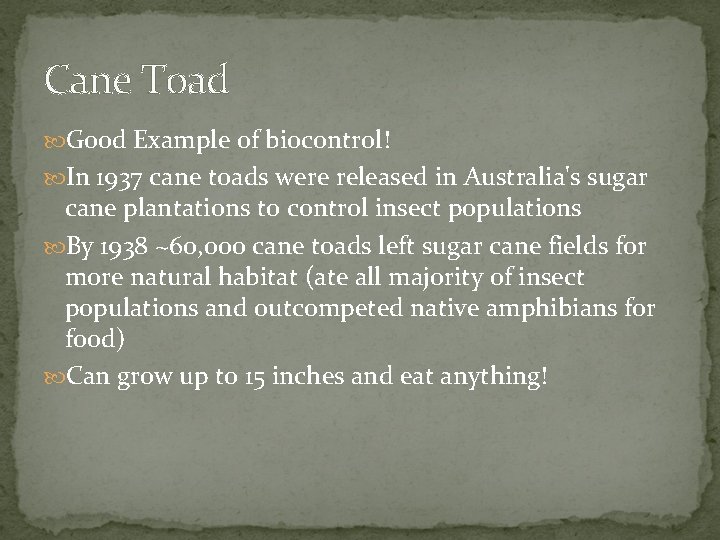 Cane Toad Good Example of biocontrol! In 1937 cane toads were released in Australia's