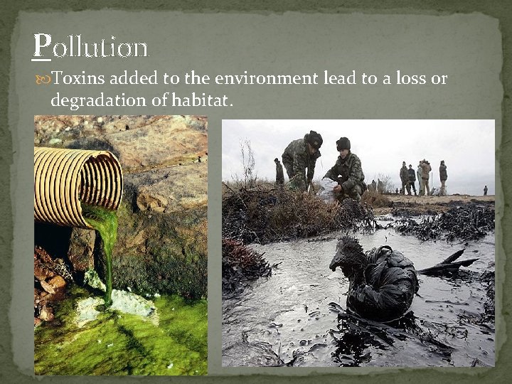 Pollution Toxins added to the environment lead to a loss or degradation of habitat.