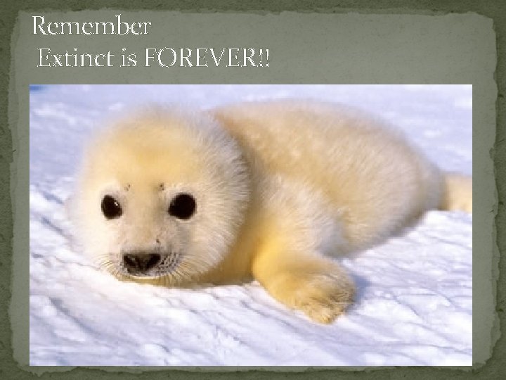 Remember Extinct is FOREVER!! 