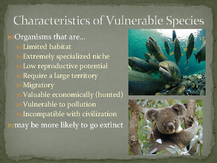 Characteristics of Vulnerable Species Organisms that are… Limited habitat Extremely specialized niche Low reproductive