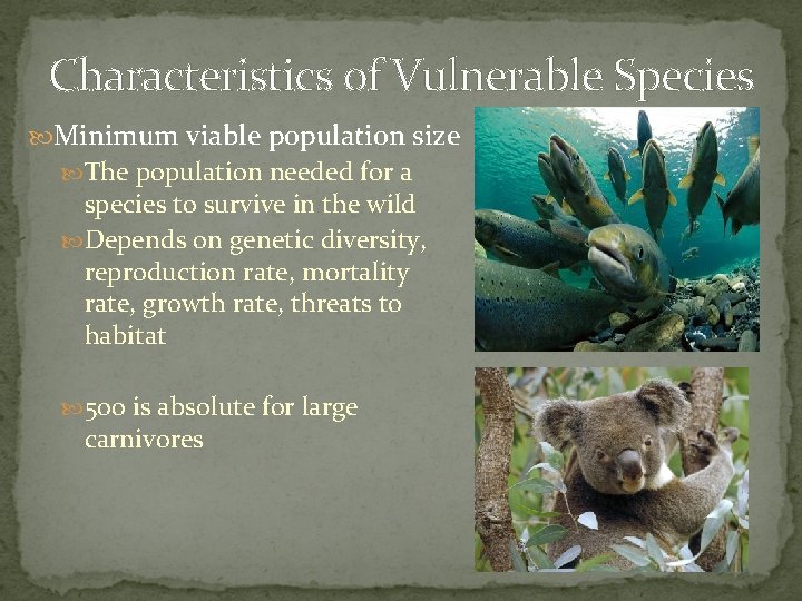 Characteristics of Vulnerable Species Minimum viable population size The population needed for a species