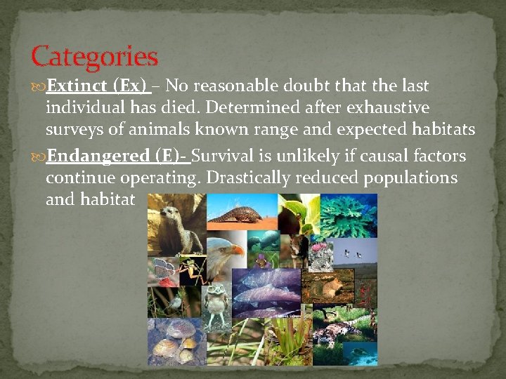 Categories Extinct (Ex) – No reasonable doubt that the last individual has died. Determined