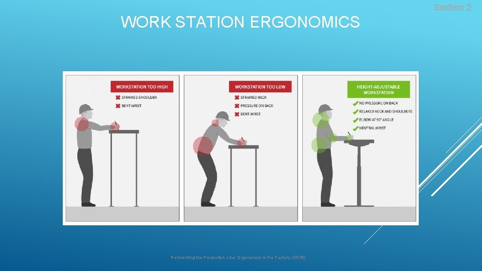 Section 2 WORK STATION ERGONOMICS Reinventing the Production Line: Ergonomics in the Factory. (2018)