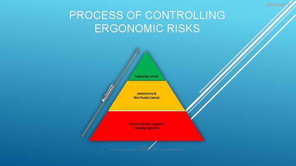 Section 1 PROCESS OF CONTROLLING ERGONOMIC RISKS 