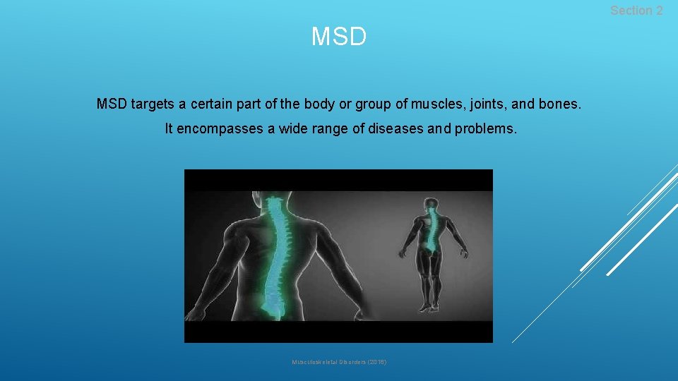 Section 2 MSD targets a certain part of the body or group of muscles,