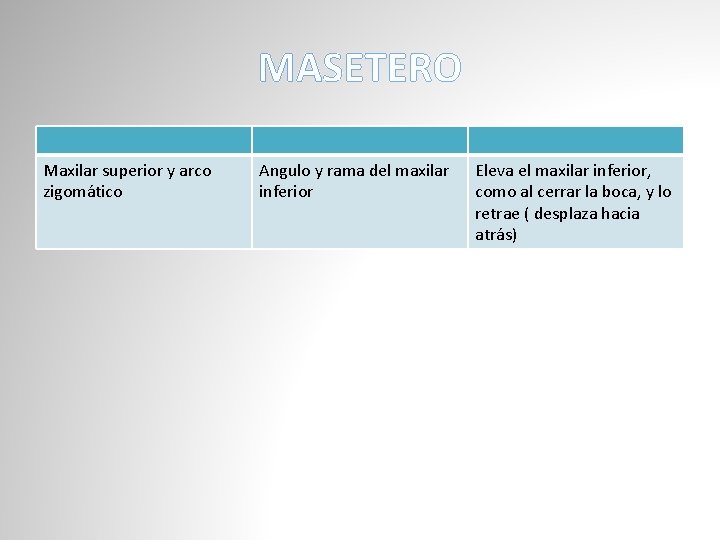 MASETERO Maxilar superior y arco zigomático Angulo y rama del maxilar inferior Eleva el