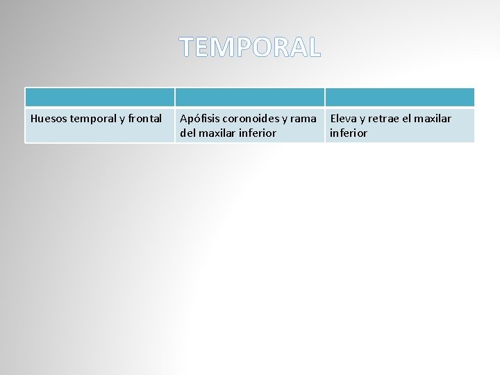 TEMPORAL Huesos temporal y frontal Apófisis coronoides y rama del maxilar inferior Eleva y