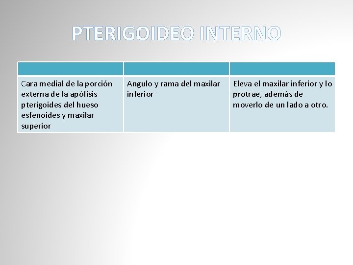 PTERIGOIDEO INTERNO Cara medial de la porción externa de la apófisis pterigoides del hueso