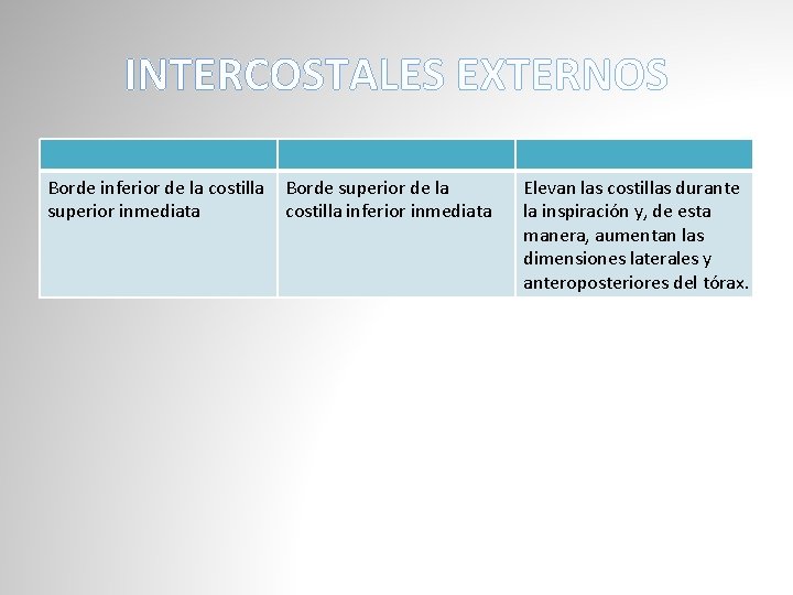 INTERCOSTALES EXTERNOS Borde inferior de la costilla superior inmediata Borde superior de la costilla