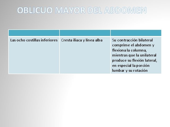 OBLICUO MAYOR DEL ABDOMEN Las ocho costillas inferiores Cresta iliaca y línea alba Su