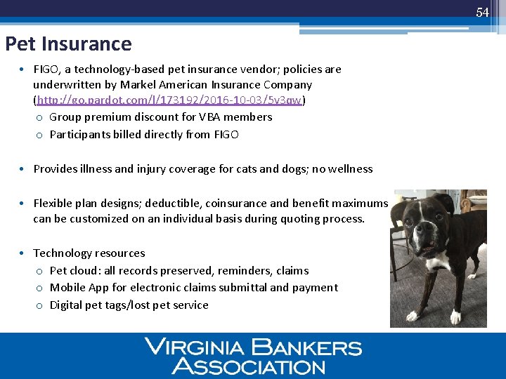 54 Pet Insurance • FIGO, a technology-based pet insurance vendor; policies are underwritten by