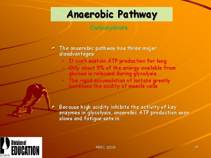 Anaerobic Pathway Carbohydrate The anaerobic pathway has three major disadvantages: – It can’t sustain