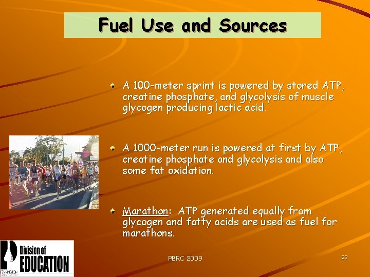 Fuel Use and Sources A 100 -meter sprint is powered by stored ATP, creatine