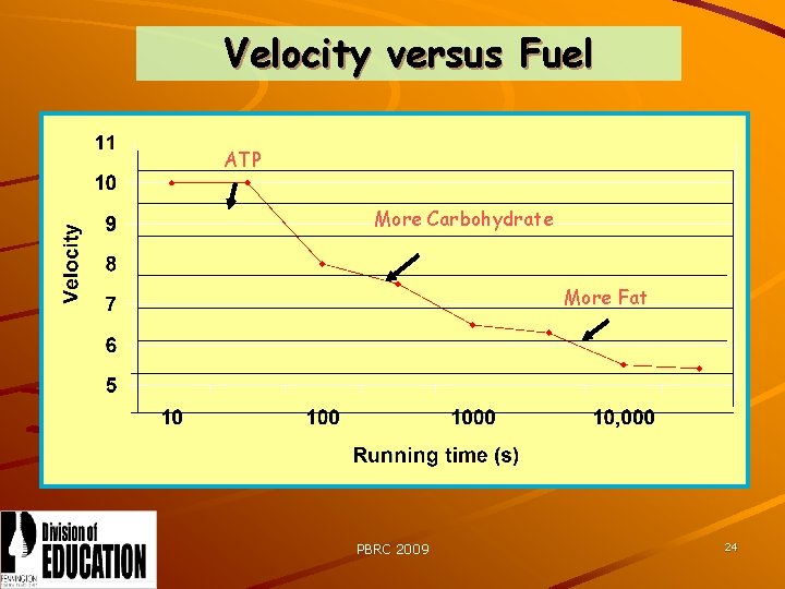Velocity versus Fuel ATP More Carbohydrate More Fat PBRC 2009 24 