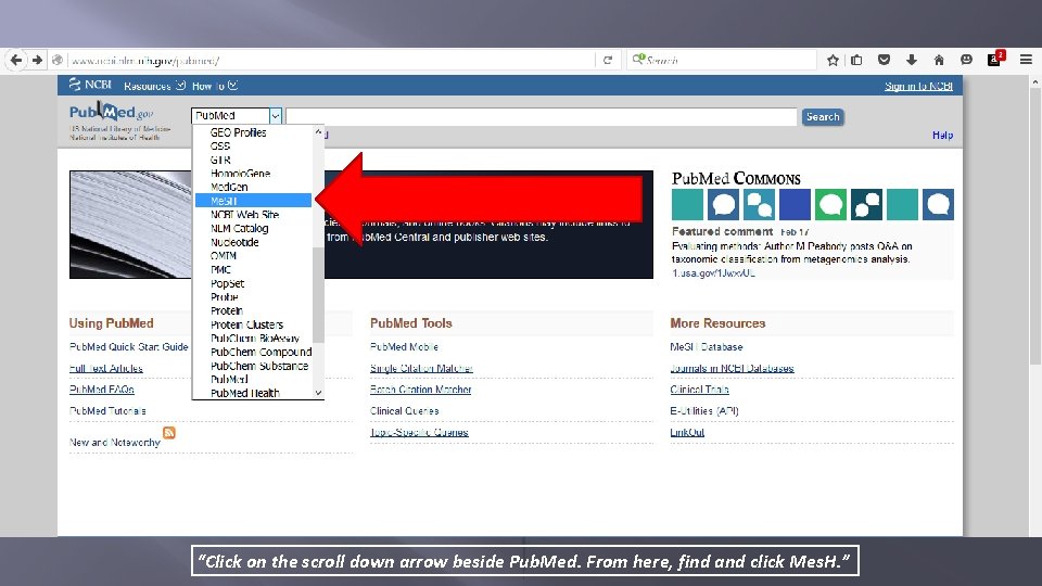 “Click on the scroll down arrow beside Pub. Med. From here, find and click