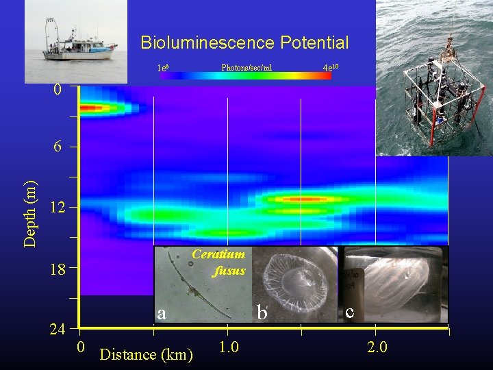 Bioluminescence Potential 1 e 6 Photons/sec/ml 4 e 10 0 Depth (m) 6 12