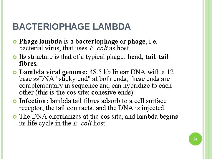 BACTERIOPHAGE LAMBDA Phage lambda is a bacteriophage or phage, i. e. bacterial virus, that