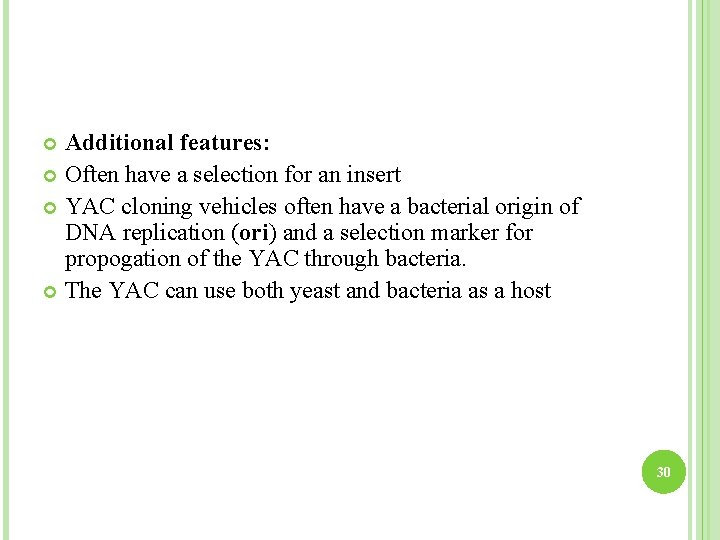 Additional features: Often have a selection for an insert YAC cloning vehicles often have