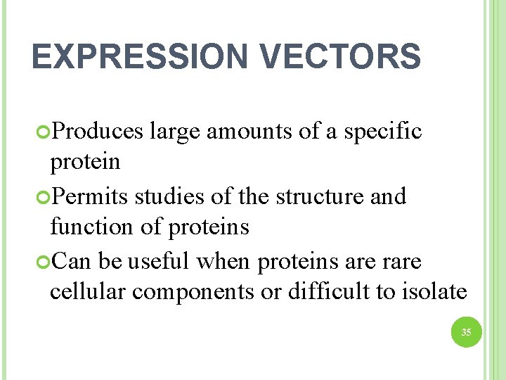 EXPRESSION VECTORS Produces large amounts of a specific protein Permits studies of the structure