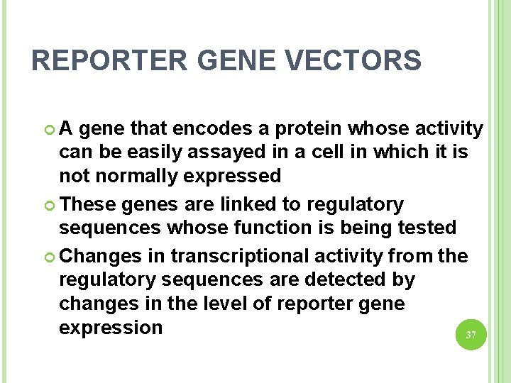 REPORTER GENE VECTORS A gene that encodes a protein whose activity can be easily