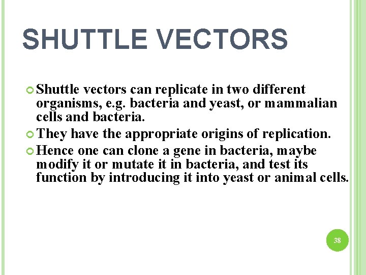 SHUTTLE VECTORS Shuttle vectors can replicate in two different organisms, e. g. bacteria and