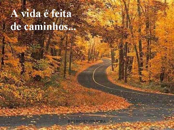 A vida é feita de caminhos. . . BY LINCOLN FERREIRA 