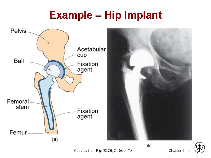 Example – Hip Implant Adapted from Fig. 22. 26, Callister 7 e. Chapter 1