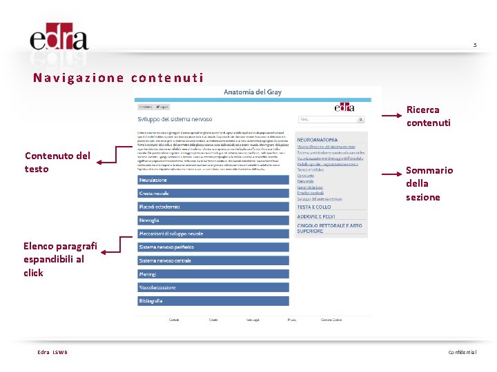 5 Navigazione contenuti Ricerca contenuti Contenuto del testo Sommario della sezione Elenco paragrafi espandibili