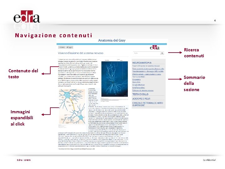 6 Navigazione contenuti Ricerca contenuti Contenuto del testo Sommario della sezione Immagini espandibili al