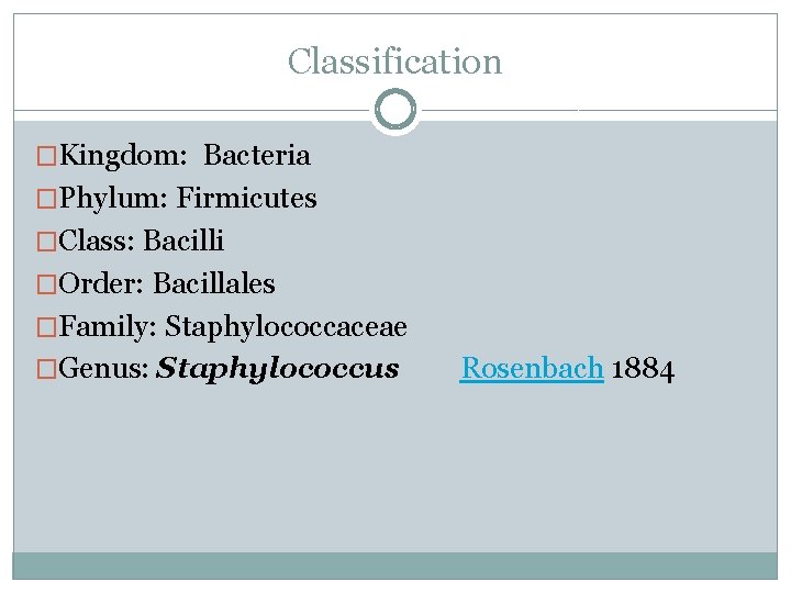 Classification �Kingdom: Bacteria �Phylum: Firmicutes �Class: Bacilli �Order: Bacillales �Family: Staphylococcaceae �Genus: Staphylococcus Rosenbach