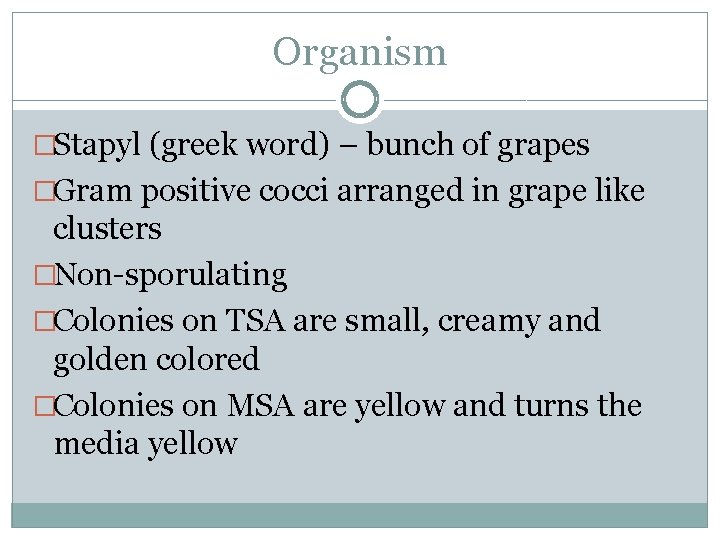 Organism �Stapyl (greek word) – bunch of grapes �Gram positive cocci arranged in grape