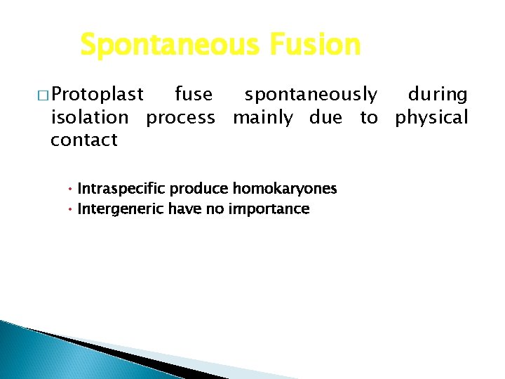 Spontaneous Fusion � Protoplast fuse spontaneously during isolation process mainly due to physical contact