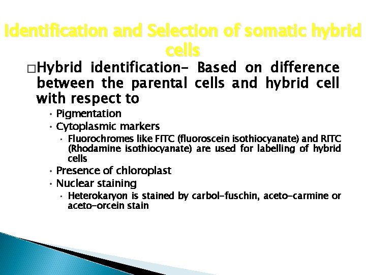 Identification and Selection of somatic hybrid cells �Hybrid identification- Based on difference between the