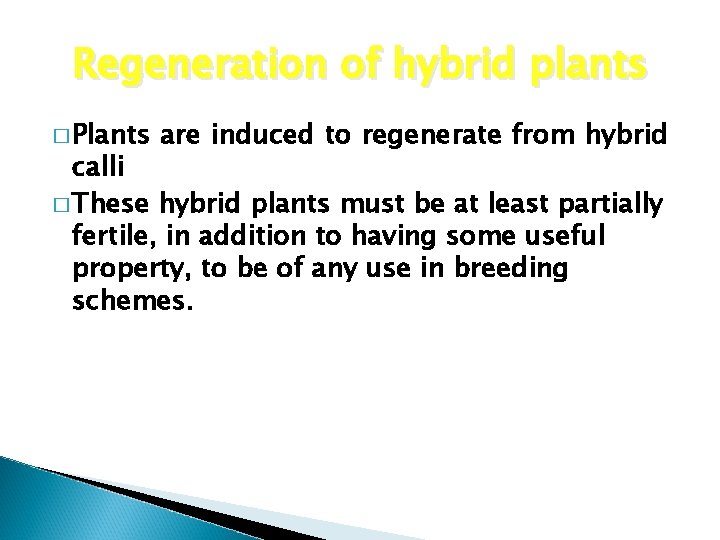 Regeneration of hybrid plants � Plants are induced to regenerate from hybrid calli �