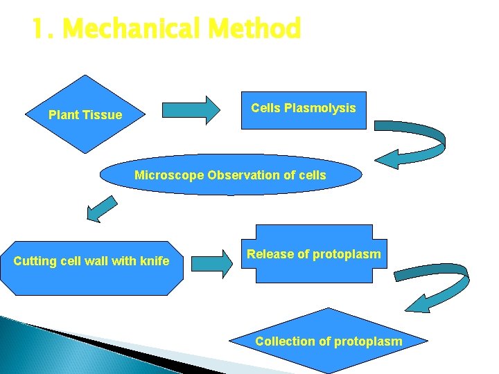 1. Mechanical Method Cells Plasmolysis Plant Tissue Microscope Observation of cells Cutting cell wall