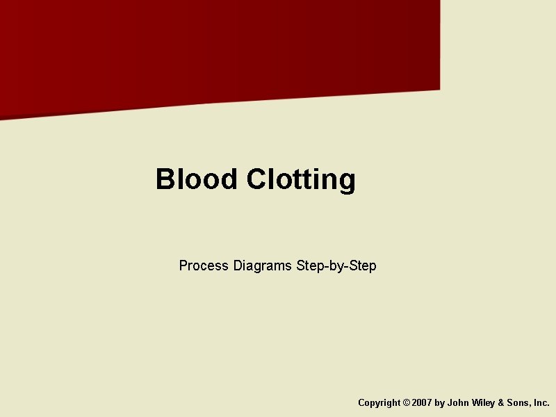 Blood Clotting Process Diagrams Step-by-Step Copyright © 2007 by John Wiley & Sons, Inc.
