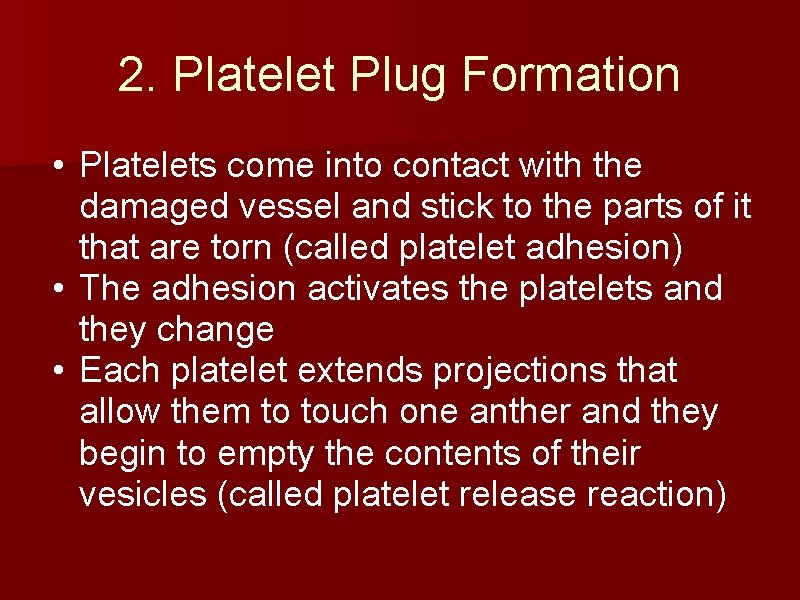 2. Platelet Plug Formation • Platelets come into contact with the damaged vessel and