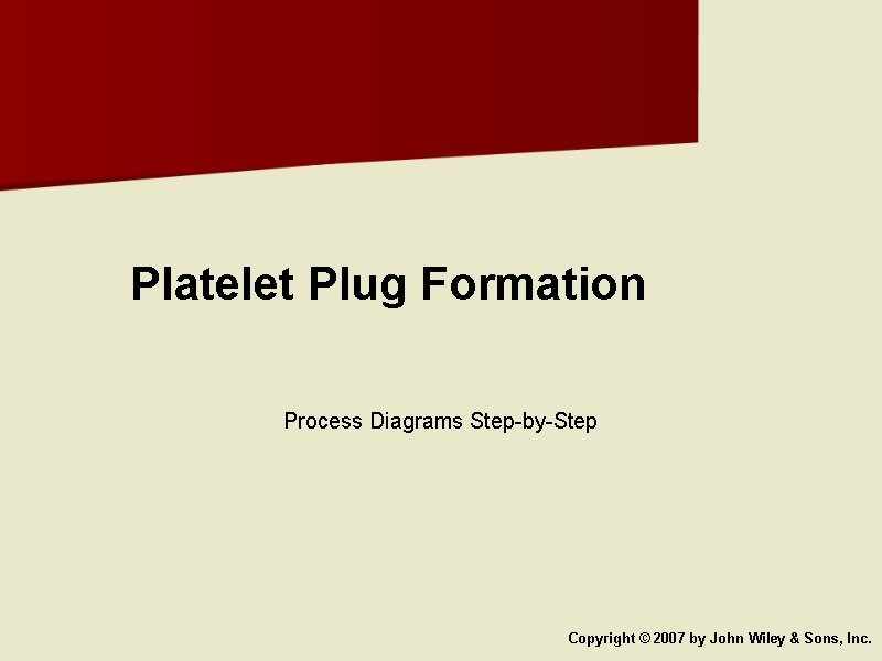 Platelet Plug Formation Process Diagrams Step-by-Step Copyright © 2007 by John Wiley & Sons,