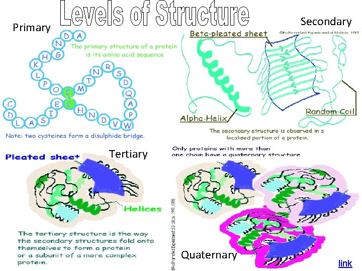 Secondary Primary Tertiary Quaternary link 