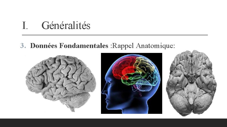 I. Généralités 3. Données Fondamentales : Rappel Anatomique: 