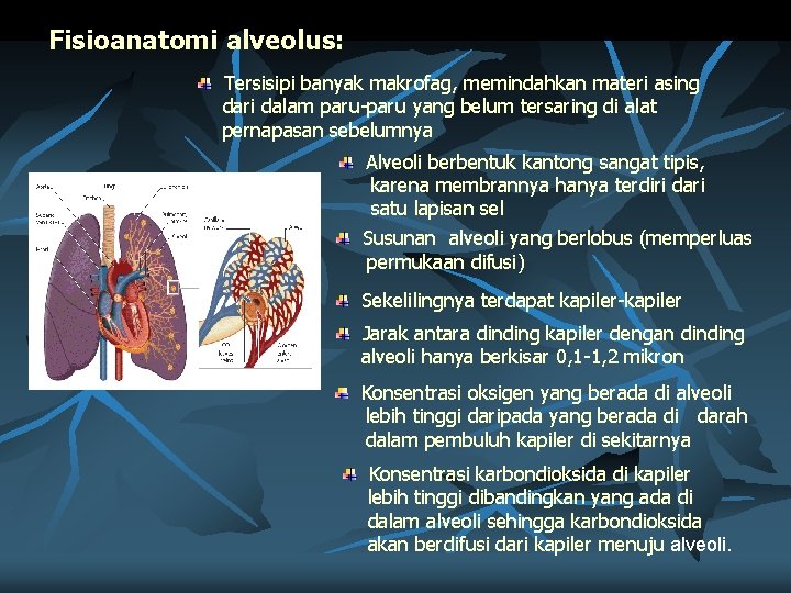 Fisioanatomi alveolus: Tersisipi banyak makrofag, memindahkan materi asing dari dalam paru-paru yang belum tersaring